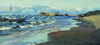 The Seashore