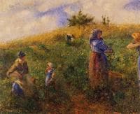 Picking Peas