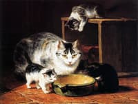 After Lunch