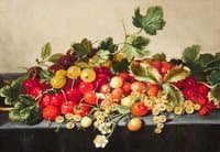 Still-Life of Red and White Currant