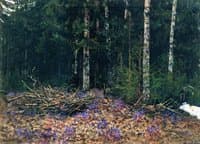 Spring in the Forest