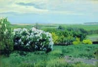 Lilac Bushes
