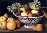 Still Life with Fruit