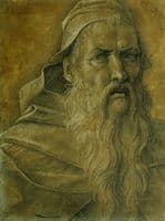 Head of an Old Bearded Man