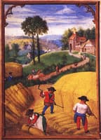 Labors of the Months: August, from a Flemish Book of Hours