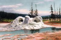 Grotto Geyser, Yellowstone