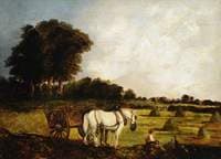 A Harvest