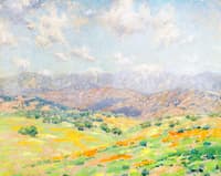 Fields of Wildflowers with the San Gabriel Mountains beyond