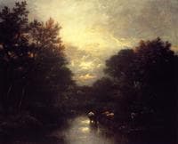 Sunset over the Forest