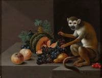 Still life with a melon, peaches, plums, grapes, cherries, a pear ans a monkey on a stone ledge