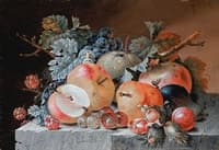 Still Life