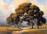 Oaks near Ranch, Carmel Valley
