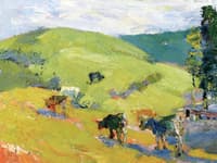 Lucas Valley