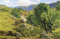 Claremont Oaks