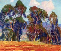 Eucalyptus Grove