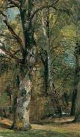 Avenue of Trees