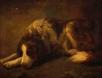A Dog
