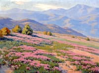 Wild Verbena, near Palm Springs