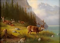 Deer on a Lake