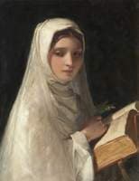 The Novice