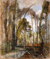 The Prater Gardens after the Rain