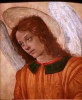 Bust of an Angel