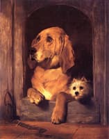 Dignity and Impudence