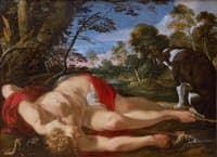 Dead Adonis with his Dog