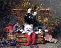 Kittens at Play