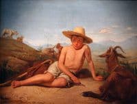 Shepherd Guarding Goats