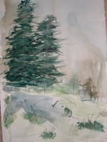 Green Trees in Snow