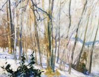 Winter Sun