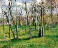 Meadow at Bazincourt