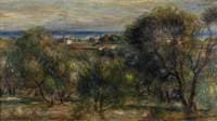 Olive Trees at Cagnes