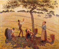 Apple Harvest, Eragny