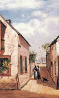 Baya Lane