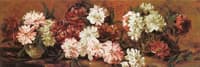 Peonies