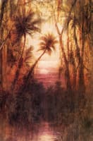 Sunset on the Ocklawaha River