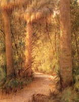 Jungle Rain, Palm Beach