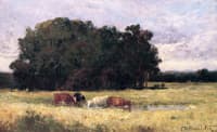 Four Cows in a Meadow