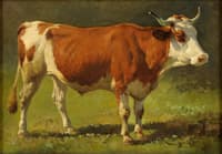 An Ox