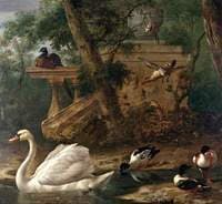 Birds in a Garden