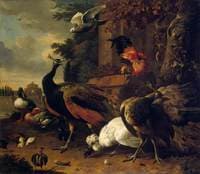 Exotic Birds in a Park