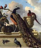 Birds in a Park