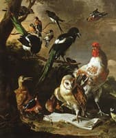 Bird 'Concert'
