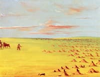 A Prairie Dog Village on the Upper Missouri