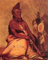 Eh-Toh'k-pah-she-pée-shah, Black Moccasin, Hidatsa