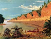South Side of Cedar Island Showing the Beautiful Buffalo Bush, with Its Leaves and Red Fruit