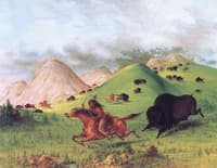 Buffalo Hunt, Chasing Back