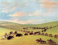 The First Regiment of the U. S. Dragoons